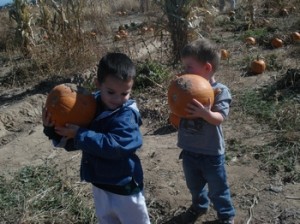 tn_dsc053521