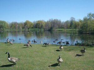 tn_dsc05948